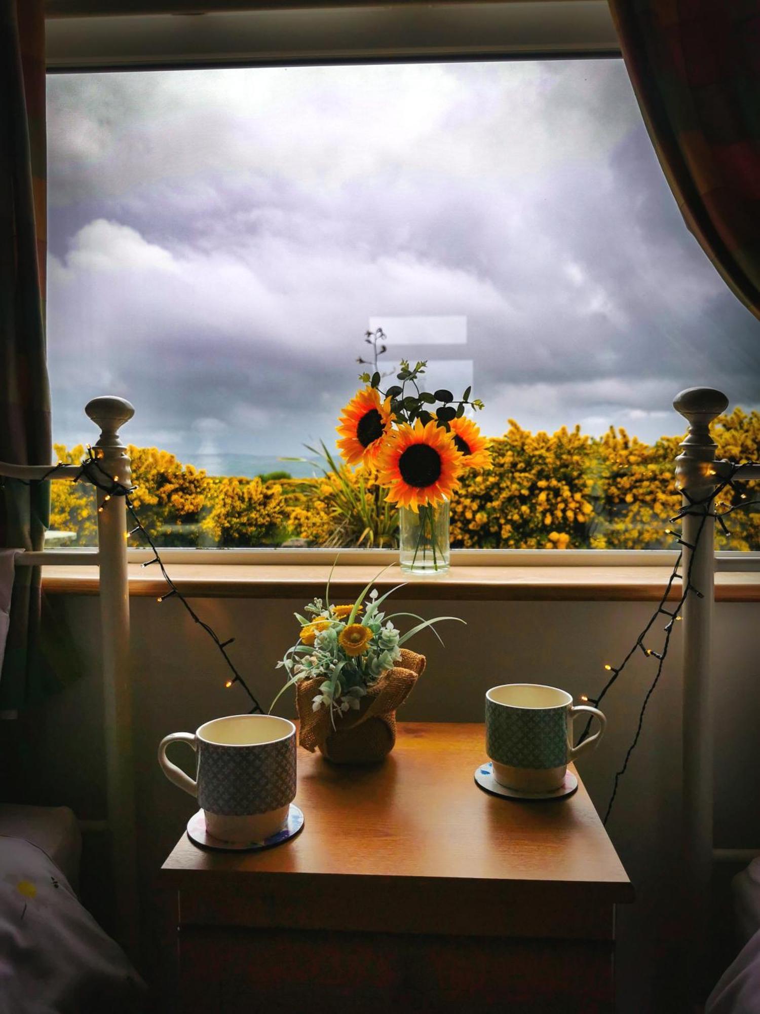 Causeway Coast Country Cottage, Pet-Friendly Ballycastle Exterior foto